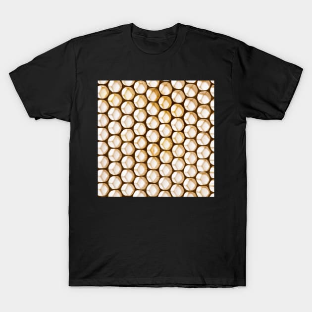 Honey Combs up close picture bees T-Shirt by tziggles